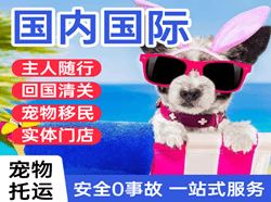 无锡硕放机场快递国际宠物托运 【国
